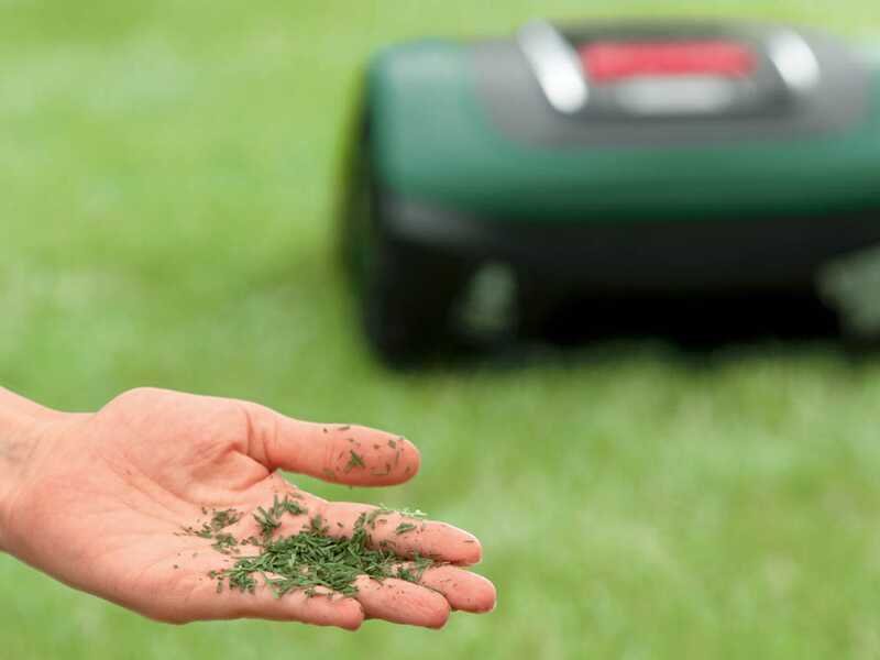 découvrez la bosch indego m+ 700, une tondeuse autonome intelligente qui simplifie l'entretien de votre pelouse grâce à ses fonctions smart et son efficacité optimisée.